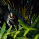 Imagen para el artículo titulado ¡Corre! Jurassic World es una decepción monstruosa